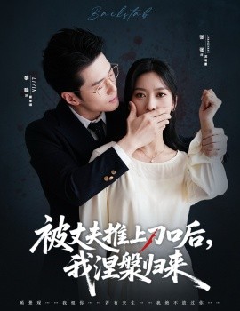 复婚抱歉我只谈判不谈情被丈夫推上刀口后，我涅槃归来封面图