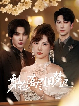 梨花落尽旧梦迟封面图