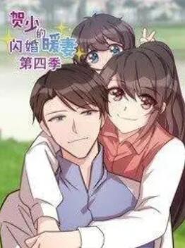 贺少的闪婚暖妻第四季封面图