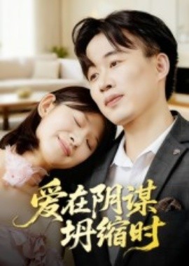 爱在阴谋坍缩时封面图