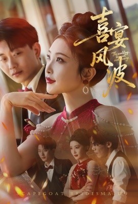 喜宴风波替罪伴娘封面图