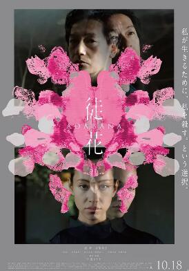 谎花封面图