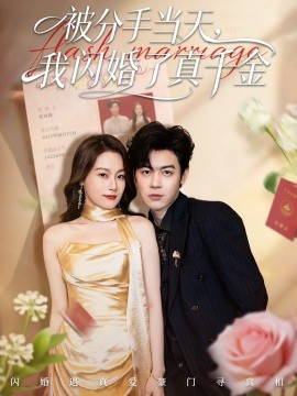 被分手当天我闪婚了真千金刚分手被美女姐姐拉去领证封面图