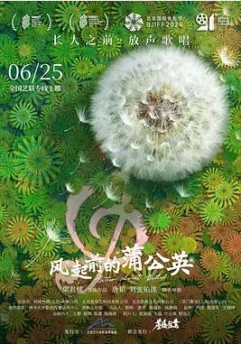 风起前的蒲公英封面图