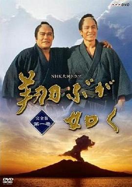 宛如飞翔封面图