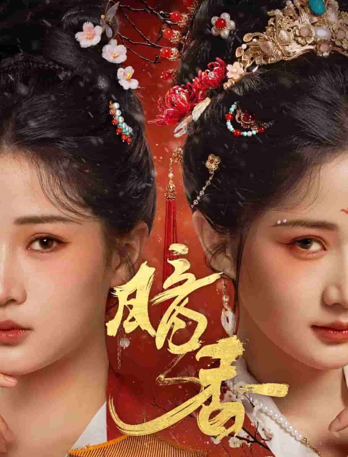 暗香（短）封面图