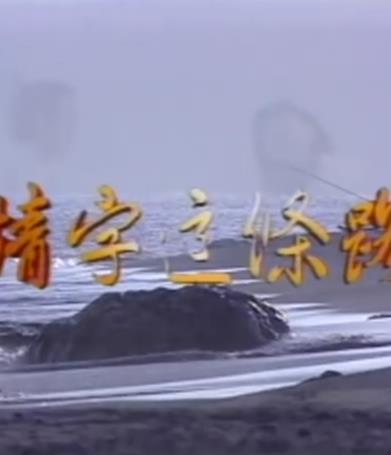 情字这条路封面图