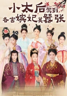 小太后驾到，各宫嫔妃莫嚣张封面图