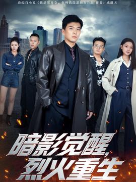 暗影觉醒，烈火重生封面图