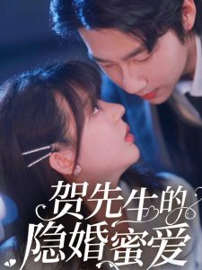 贺先生的隐婚蜜爱封面图