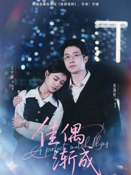 佳偶渐成封面图