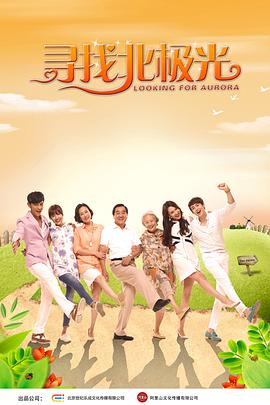 寻找北极光封面图