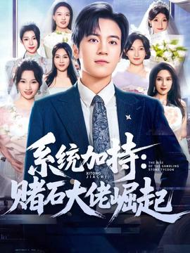 统加持：赌石大佬崛起封面图