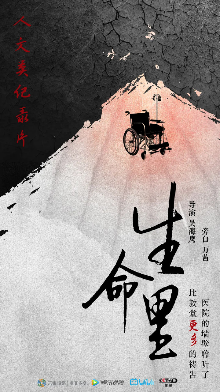生命里封面图