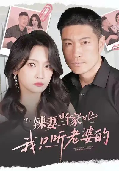 辣妻当家，我只听老婆的封面图
