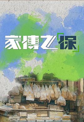 家传之“保”封面图