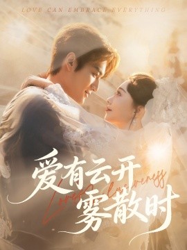 爱有云开雾散时封面图