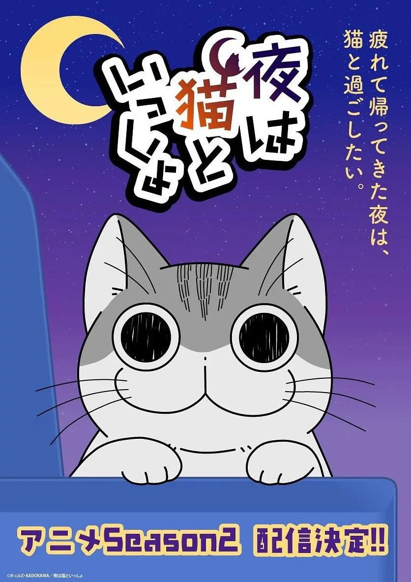 关于养猫我一直是新手第二季封面图