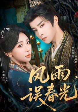 风雨误春光七年寒鸢封面图