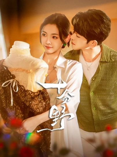 摘星予南风封面图