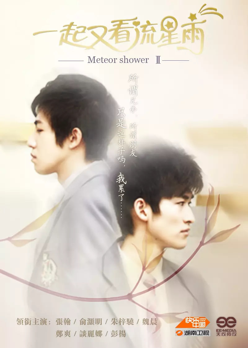一起又看流星雨2010封面图
