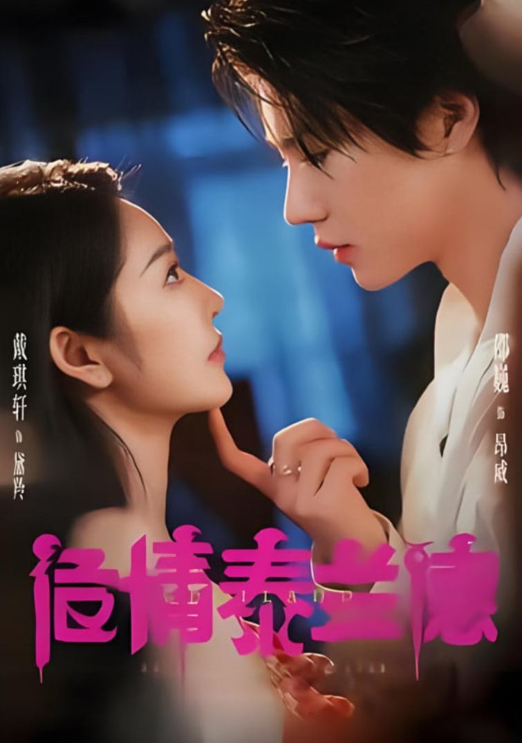 危情泰兰德2025封面图