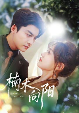楠木向阳封面图