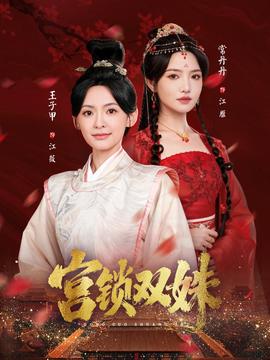 宫锁双姝封面图