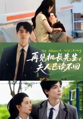 再见机长先生夫人已读不回封面图