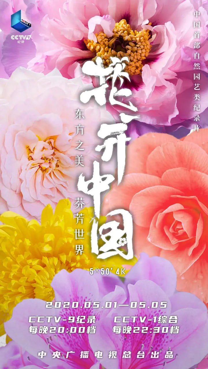 花开中国封面图