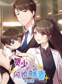 贺少的闪婚暖妻第二季封面图