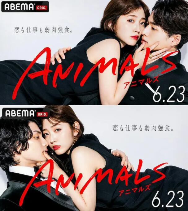 动物ANIMALS封面图