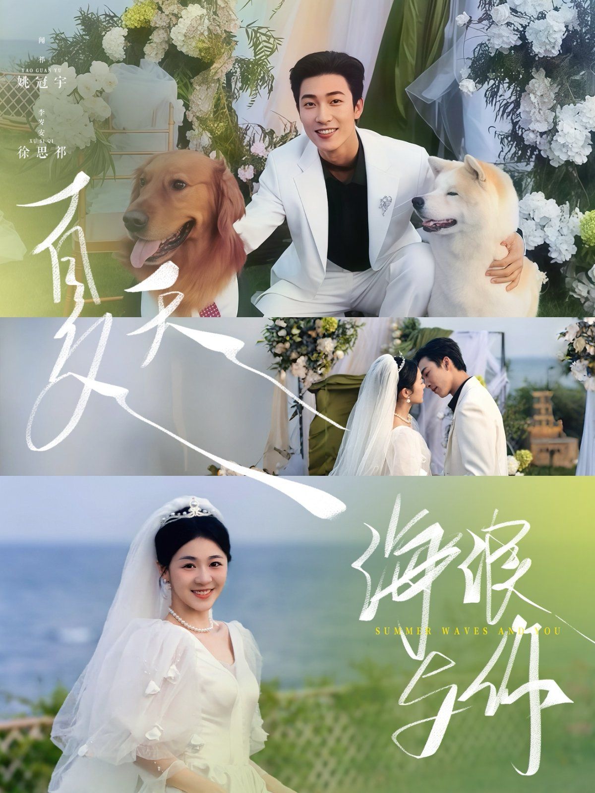 夏天海浪与你封面图