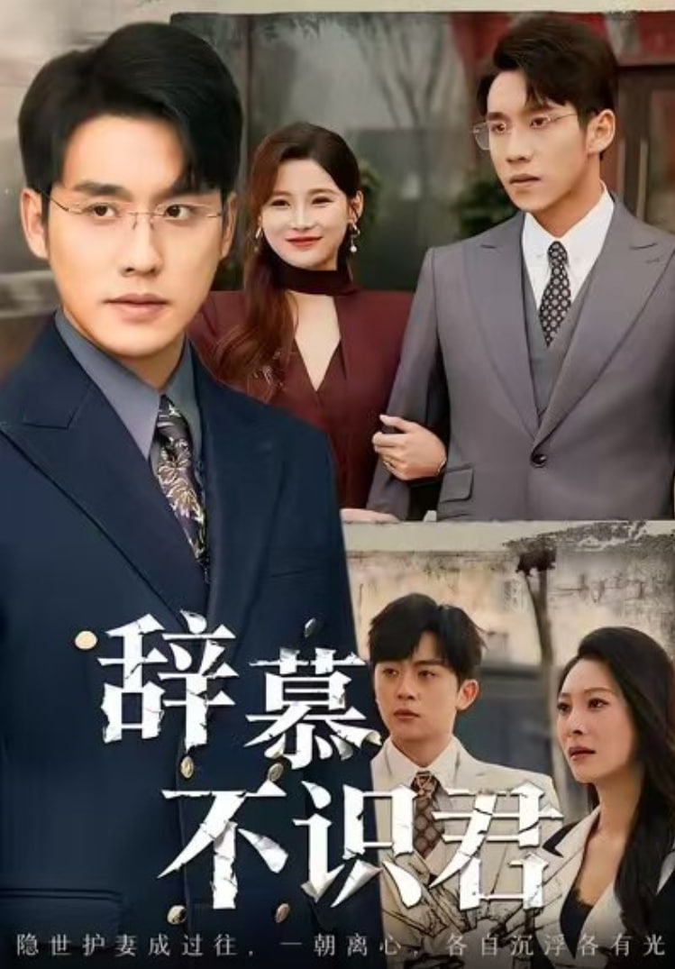 辞慕不识君(七年情深终成侮)封面图