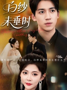 老婆婚礼我当证婚人白纱未垂时封面图
