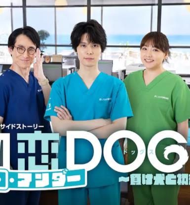初恋UNDERDOGs败犬与初恋封面图