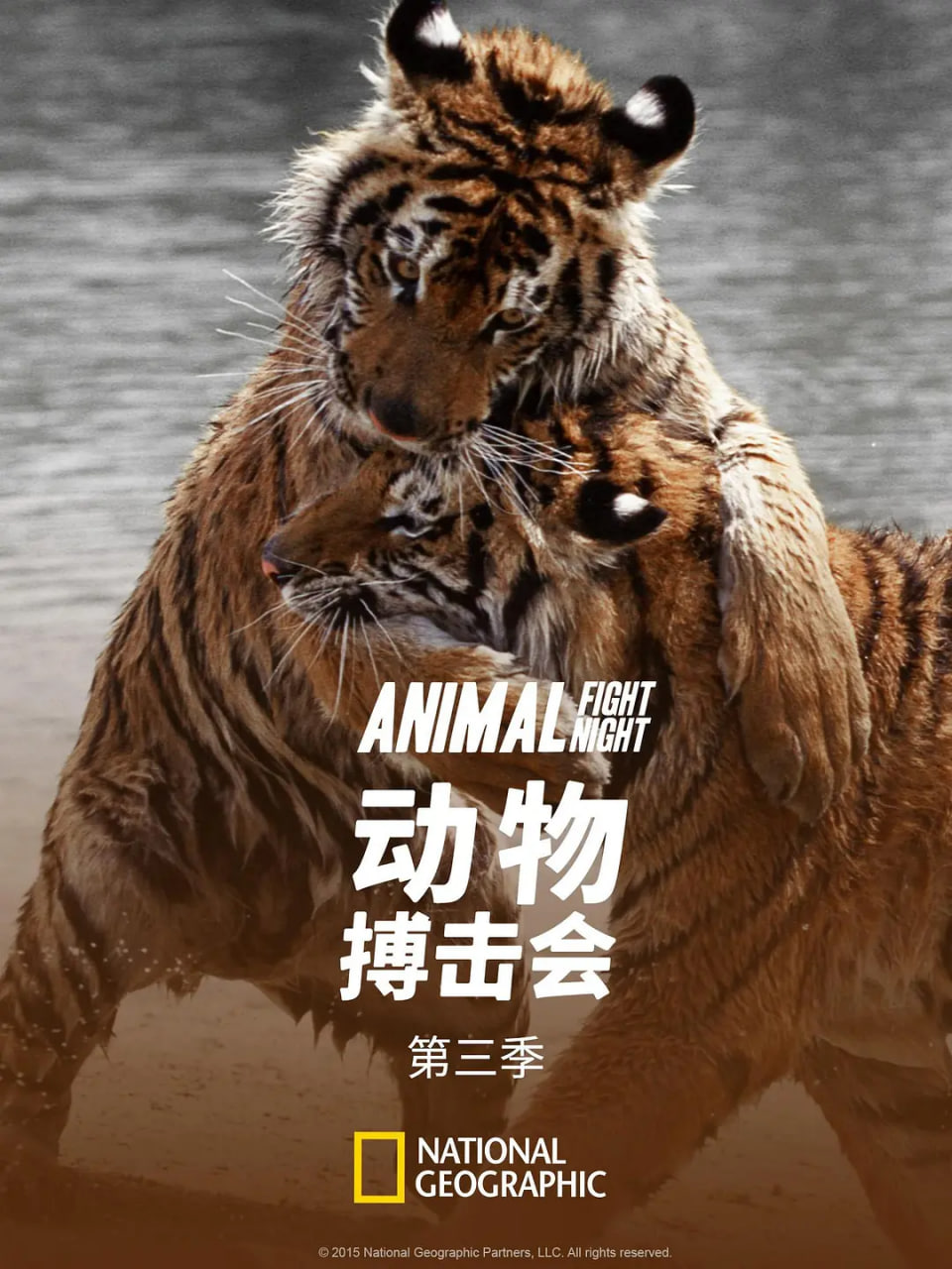 动物搏击会第三季封面图