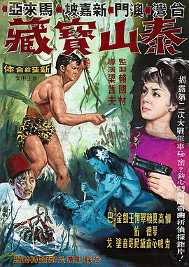泰山与宝藏封面图