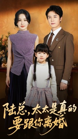 陆总太太是真的要跟你离婚封面图