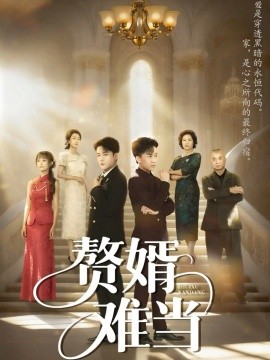 婿业难成赘婿难当封面图