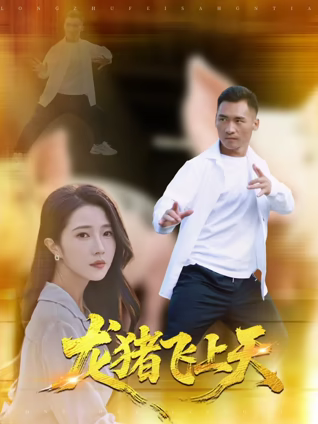 龙猪飞上天封面图