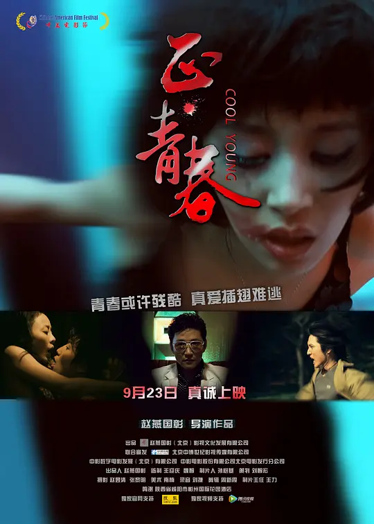 正·青春(2011)