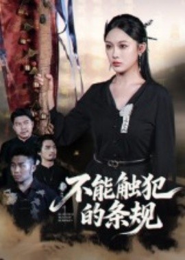 不能触犯的条规封面图