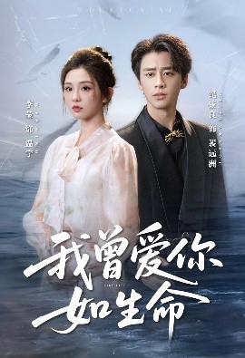 我曾爱你如生命宁夜向远封面图