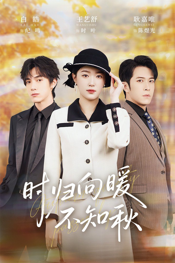 时归向暖不知秋（第二十八年冬）封面图