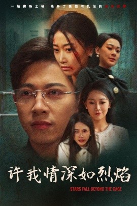 许我情深如烈焰封面图