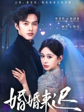 婚婚来迟封面图