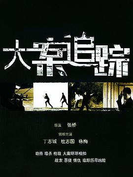 大案追踪封面图