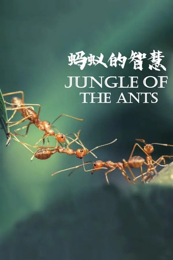 蚂蚁的智慧封面图