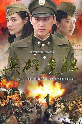 英雄虎胆2007封面图